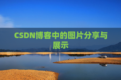 CSDN博客中的图片分享与展示